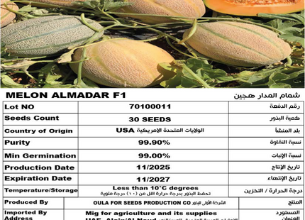 شمام المدار F1 (MELON AL MADAR F1) 30 SEEDS