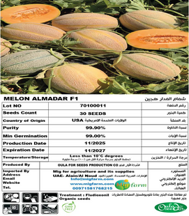 شمام المدار F1 (MELON AL MADAR F1) 30 SEEDS