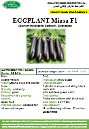 باذنجان مياسة F1 (EGGPLANT MIASA F1) MINI PACKET 30 SEEDS