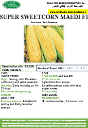 ذرة معدي سكرية F1 (MAEDI SWEET CORN) MINI PACKET 30 SEEDS