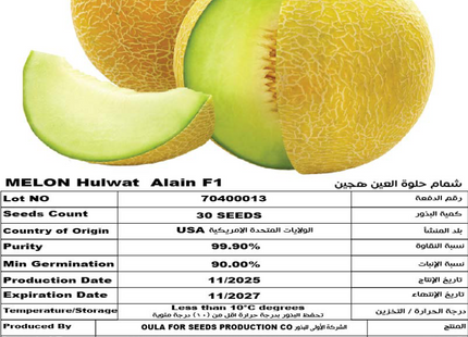 شمام حلوة العين F1 (MELON ALain F1) 30 SEEDS
