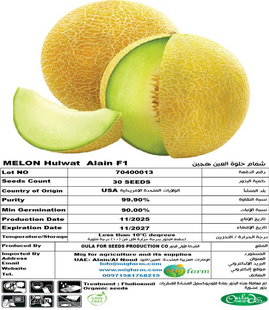 شمام حلوة العين F1 (MELON ALain F1) 30 SEEDS