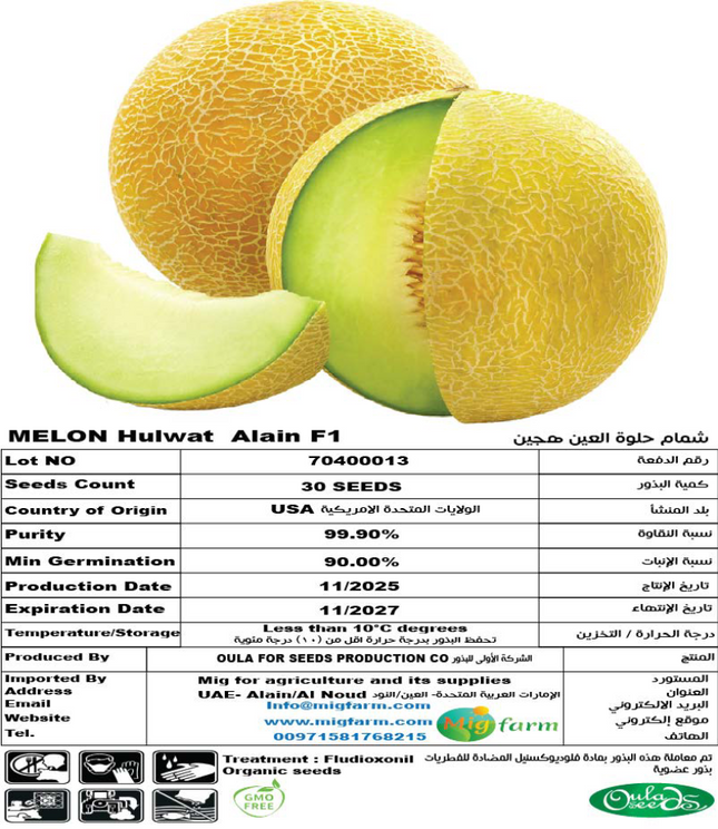 شمام حلوة العين F1 (MELON ALain F1) 30 SEEDS