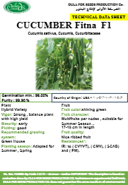 خيار فتنة F1 (CUCUMBER FITNA F1) MINI PACKET 30 SEEDS