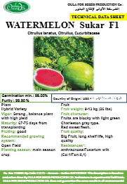 سكر البطيخ F1 (WATERMELON SUKAR F1 MINI PACKET 30 SEEDS