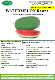 بطيخة روعة (WATERMELON RAWEA) MINI PACKET 30 SEEDS