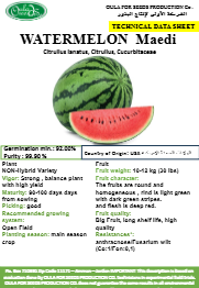 بطيخ معدي (WATERMELON MAEDI) MINI PACKET 30 SEEDS