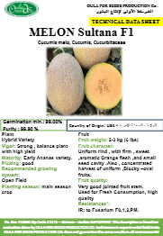 شمام السلطانة F1 (MELON SULTANA F1) MINI PACKET 30 SEEDS