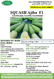 كوسة عجيبة F1 (SQUASH AJIBA F1)MINI PACKET 30 SEEDS