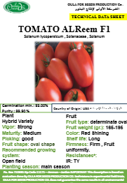 طماطم الريمF1 (TOMATO AL REEM F1) MINI PACKET 30 SEEDS