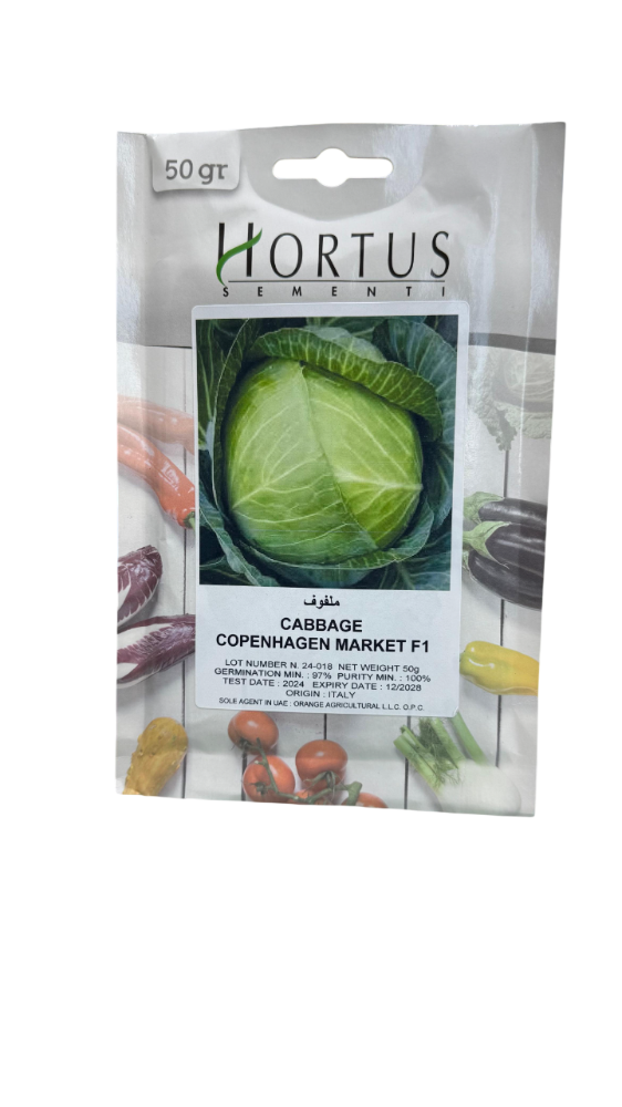 HORTUS CABBAGE