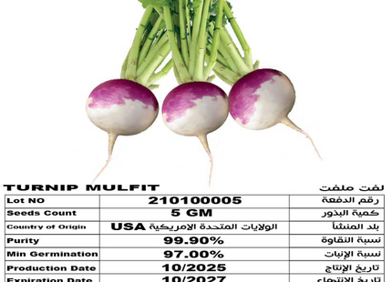 لفت ملفت (TURNIP MALFAT) 5GM