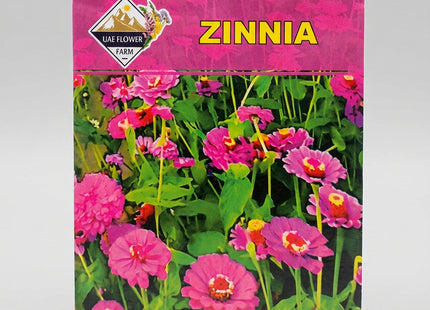 ZINNIA FLOWERS UAE