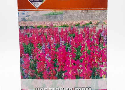 RED STOCK FLOWERS UAE