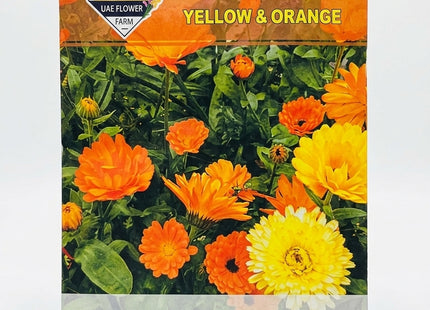 CALENDULA YELLOW AND ORAHNGE UAE FLOWERS