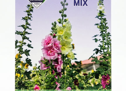 HOLYHOCK MIX FLOWERS