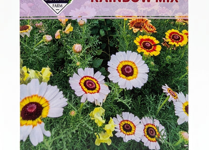 RAINBOW MIX FLOWERS UAE