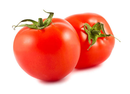 طماطم دائرية 10448 F1 (TOMATO ROUND INDETERMINATE)