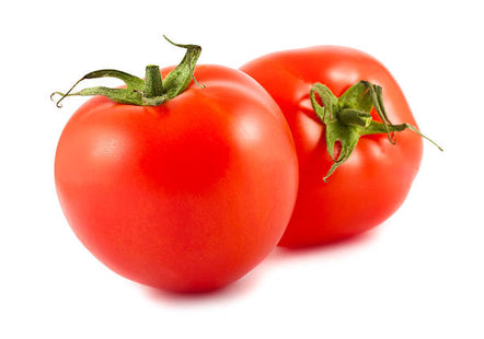 طماطم دائرية 10448 F1 (TOMATO ROUND INDETERMINATE)