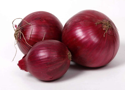 RED ONION {BASAL ALAHMER} 100 GM