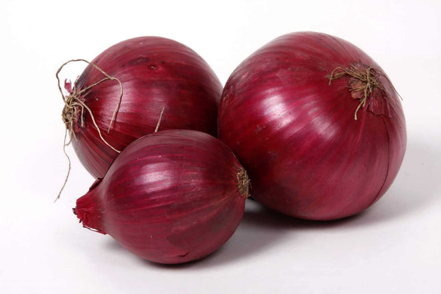 RED ONION {BASAL ALAHMER}5 gm