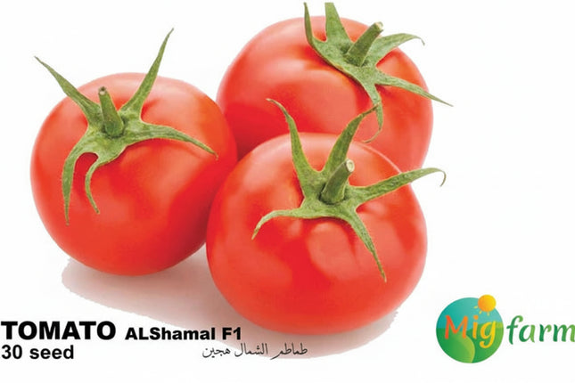 طماطم الشمال F1 (TOMATO AL SHAMAL 30 Seeds)