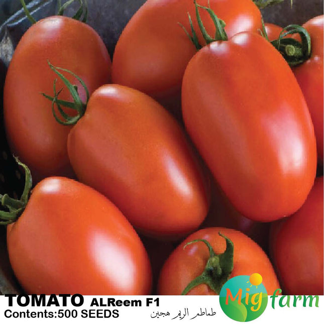 طماطم الريمF1 (TOMATO AL REEM F1)