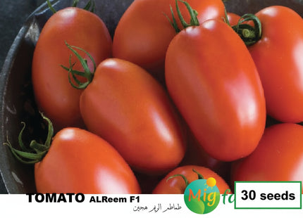طماطم الريمF1 (TOMATO AL REEM F1) MINI PACKET 30 SEEDS