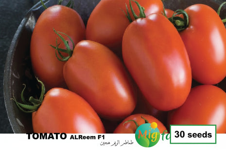 طماطم الريمF1 (TOMATO AL REEM F1) MINI PACKET 30 SEEDS