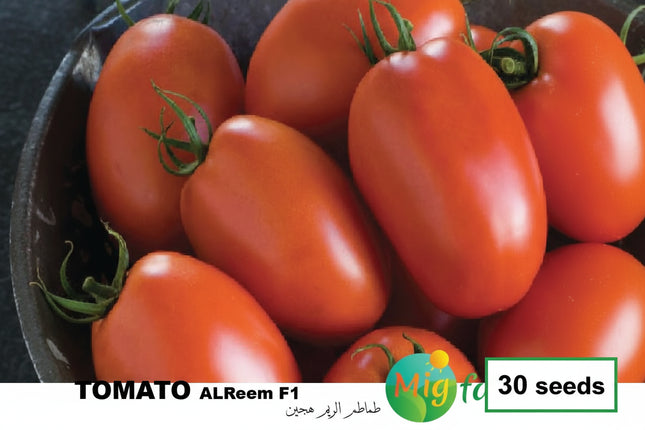 طماطم الريمF1 (TOMATO AL REEM F1) MINI PACKET 30 SEEDS