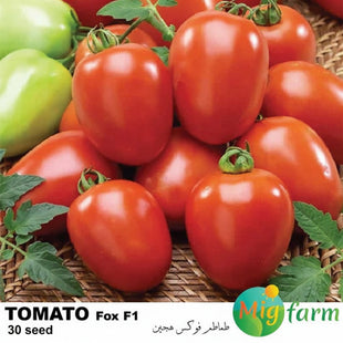 طماطم فوكس F1 (TOMATO FOX F1) MINI PACKET 30 SEEDS