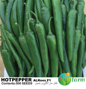 فلفل حار الكووس  F1 (HOTPEPPER AL KOOS F1)