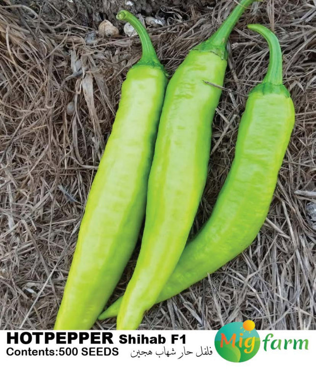 فلفل شهاب F1 ( HOTPAPPER SHIHAB F1)