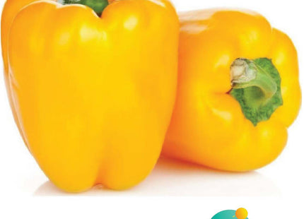 سويت بيبر جميرا 1 F1 (SWEETPEPPER JUMIRA-1 F1)