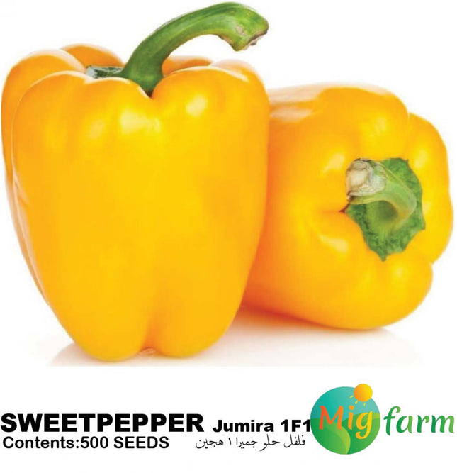 سويت بيبر جميرا 1 F1 (SWEETPEPPER JUMIRA-1 F1)