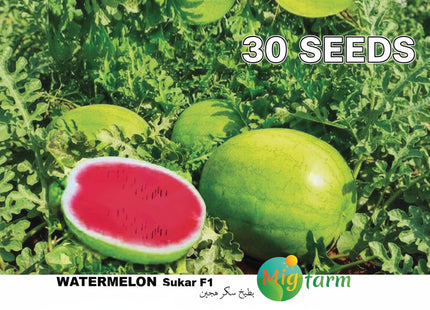 سكر البطيخ F1 (WATERMELON SUKAR F1 MINI PACKET 30 SEEDS
