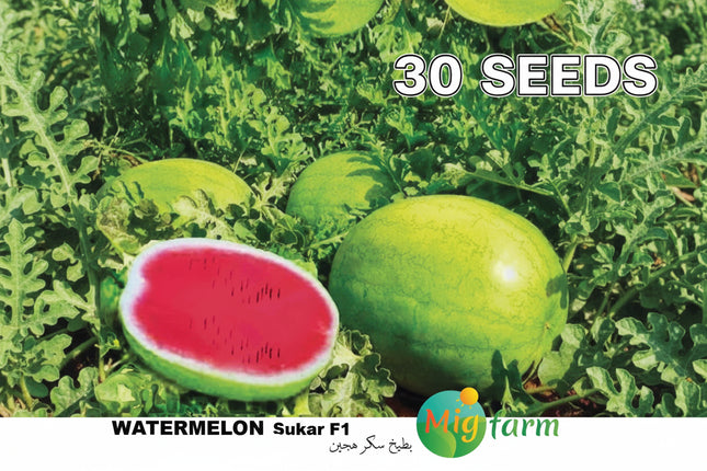 سكر البطيخ F1 (WATERMELON SUKAR F1 MINI PACKET 30 SEEDS