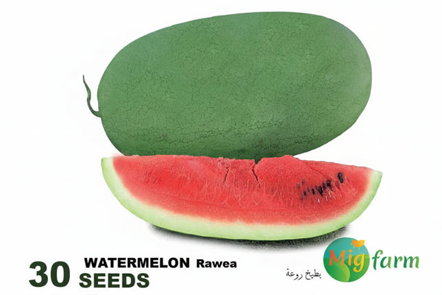 بطيخة روعة (WATERMELON RAWEA) MINI PACKET 30 SEEDS