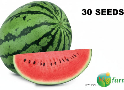 بطيخ معدي (WATERMELON MAEDI) MINI PACKET 30 SEEDS