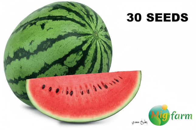 بطيخ معدي (WATERMELON MAEDI) MINI PACKET 30 SEEDS