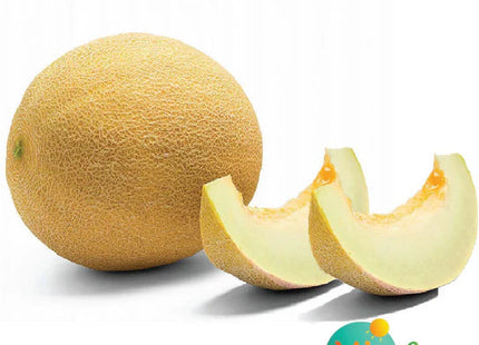 شمام الرومنسية F1 (MELON AL RUWMANSIA F1) 30 SEEDS