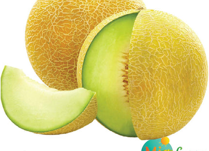 شمام حلوة العين F1 (MELON ALain F1)