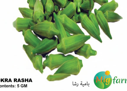بامية رشا (OKRA RASHA) 5 GM