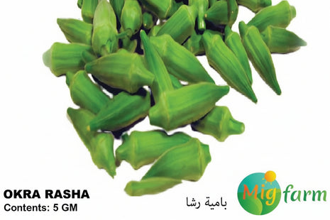 بامية رشا (OKRA RASHA) 5 GM
