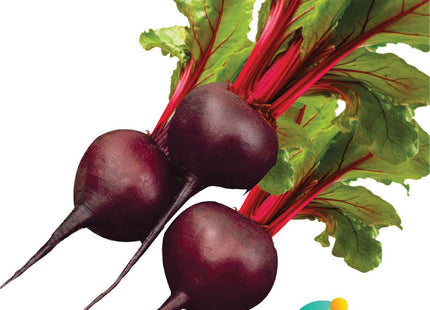 شمندر  شمندرنا  (BEETROOT SHAMANDARNA)
