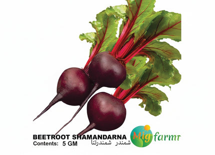 شمندر  شمندرنا  (BEETROOT SHAMANDARNA) 5 GM