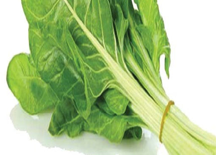 سلق الجبل (CHARD AL JABIL)