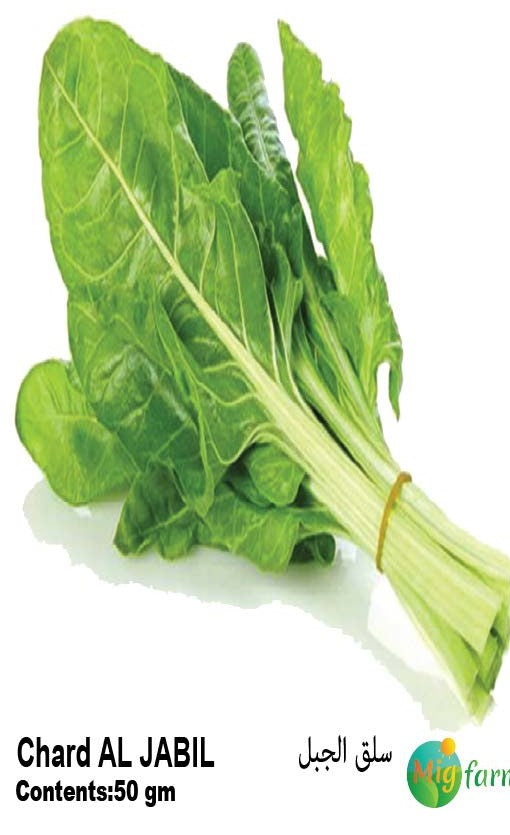 سلق الجبل (CHARD AL JABIL)