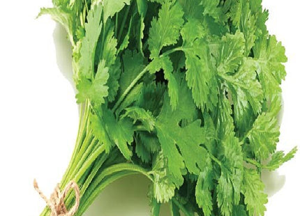 كزبرة الريف (CORIANDER ALREEF)