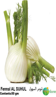 شمر السهول (FENNEL ALSUHOOL)